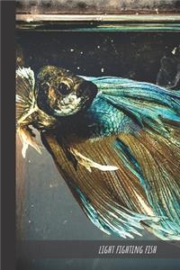 Light Fighting Fish
