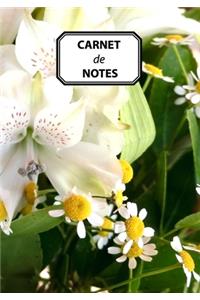 Carnet de Notes