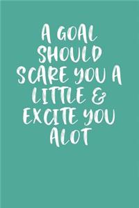 A Goal Should Scare You a Little & Excite You Alot