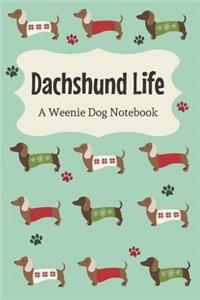 Dachshund Life
