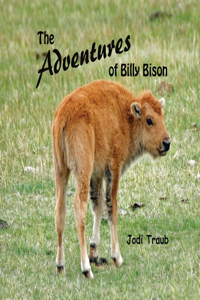 Adventures of Billy Bison