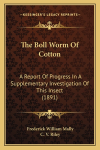 Boll Worm Of Cotton