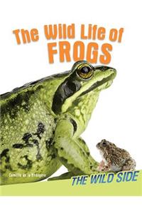 Wild Life of Frogs