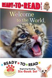 Zooborns Ready-To-Read Value Pack