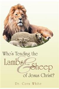 Who's Tending the Lambs & Sheep of Jesus Christ?