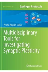 Multidisciplinary Tools for Investigating Synaptic Plasticity