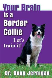 Your Brain is a Border Collie