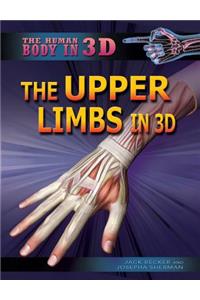 The Upper Limbs in 3D