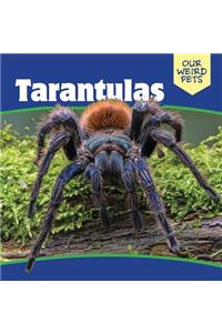 Tarantulas