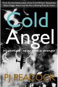 Cold Angel
