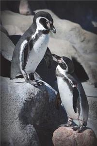 Pair of Penguins Journal