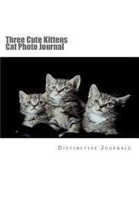 Three Cute Kittens Cat Photo Journal