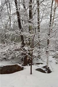 Journal Scenic Winter Weather Picture