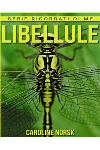 Libellule