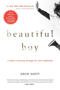 Beautiful Boy: A Father's Journey Through His Son's Addiction