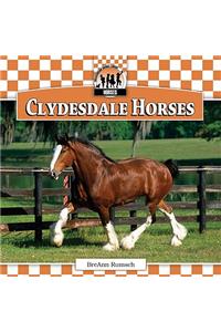 Clydesdale Horses