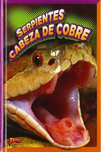 Serpientes Cabeza de Cobre