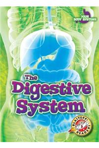 The Digestive System