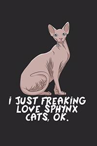 Sphynx Katze Notizbuch