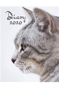 Diary 2020