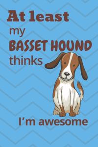 At least My Basset Hound thinks I'm awesome