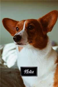 Pembroke Welsh Corgis Dog Pup Puppy Doggie Notebook Bullet Journal Diary Composition Book Notepad - Dreamy Eyes