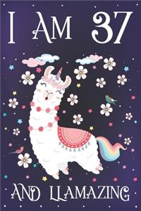 I am 37 and Llamazing