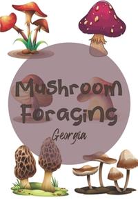 Mushroom Foraging Georgia