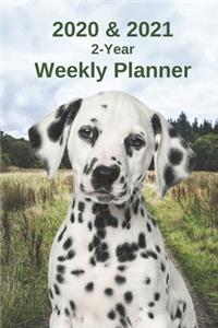 2020 & 2021 Weekly Planner - Two Year Appointment Book Gift - Two-Year Agenda Notebook For Dalmatian Dog Owners