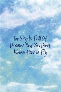 The Sky Is Full Of Dreams But You Don't Know How To Fly