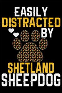 Easily Distracted by Shetland Sheepdog