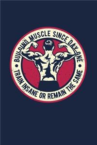 Building Muscle Since day One Train Insane Or Remain The Same