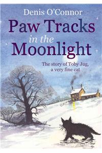 Paw Tracks in the Moonlight