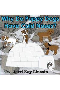 Why Do Puppy Dogs Have Cold Noses?