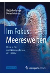 Im Fokus: Meereswelten