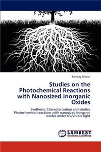 Studies on the Photochemical Reactions with Nanosized Inorganic Oxides