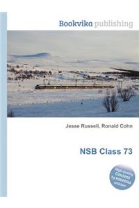 Nsb Class 73