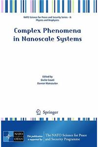 Complex Phenomena in Nanoscale Systems