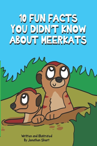 10 Fun Facts You Didn't Know About Meerkats