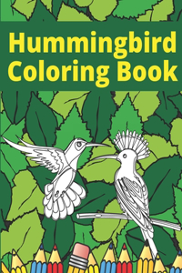 Hummingbird Coloring Book