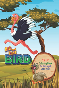 Big and Fast Bird: CATS Coloring Book, Activity Book for Kids, Aged 4 to 8 Years, Large 8.5 x 11 inches, Beautiful, Cute Pictures, Keep Improve Pencil, Help Relax, Sof