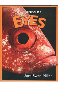 All Kinds of Eyes