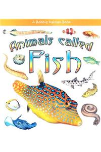 Animals Called Fish