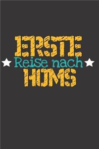 Erste Reise nach Homs