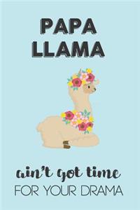 Papa Llama Aint Got Time For Your Drama