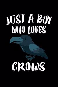 Just A Boy Who Loves Crows