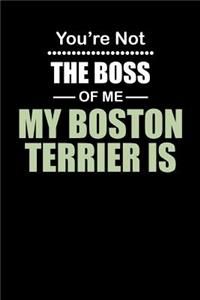 You're not the Boss of Me My Boston Terrier Is