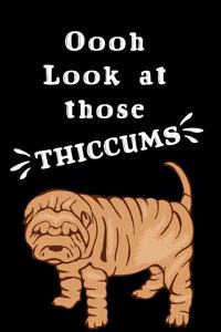 Oooh Look At Those Thiccums