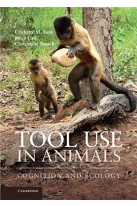 Tool Use in Animals