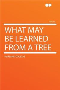 What May Be Learned from a Tree